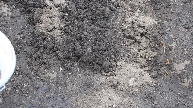 ВЫРАЩИВАНИЕ ЛУКА НА ЗЕЛЕНЬ ! ЛУК НА ПЕРО В ТЕПЛИЦЕ ! смотреть онлайн