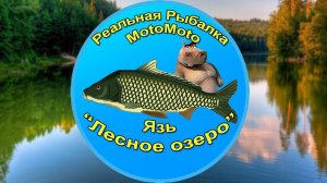 Как поймать Язя на Лесном озере [АРХИВ] | Реальная Рыбалка