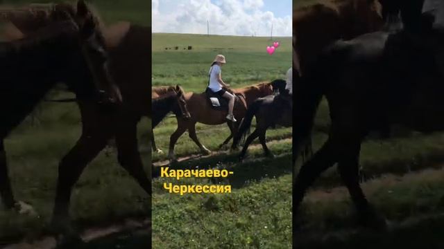 Катаюсь на лошади карачаево-черкесской породы! Было круто?