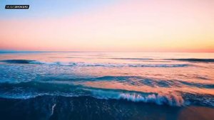 SUNSET REGGAE - Best Pop Hits Reggae Covers