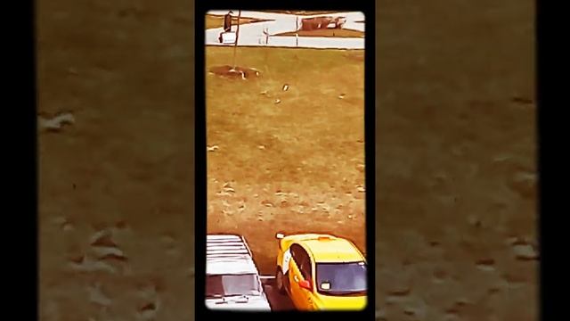 Как начинался ДЕНЬ в... СССР! = Утро СОВЕТСКОГО обывателя/Читай на сайте СТИХИ.РУ Александр КОЧУБЕЙ смотреть онлайн