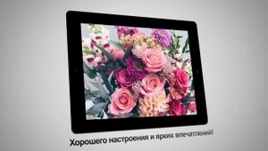 С Днем Рождения, Александра - музыкальное поздравление