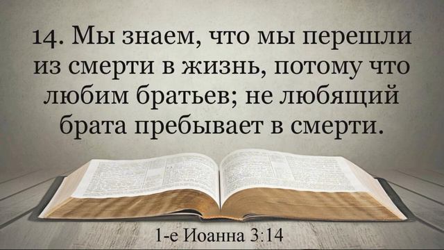 Первое Послание Апостола Иоанна Видео Библия. Субтитры.