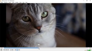 Save/Export/Render Video in OpenShot - Easy Tutorial