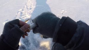 УЛОВИСТАЯ БЕЗМОТЫЛКА В ГЛУХОЗИМЬЕ! Рыбалка на ГВОЗДЕШАРИК .Ловля плотвы и окуня