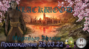 The Elder Scrolls Online (Сюжетные задания 25.03.22, Мёртвые Земли , The Deadlands)