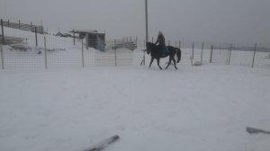 VID_20231202_123440.mp4