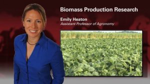 Biomass Research - Emily Heaton - Iowa State University