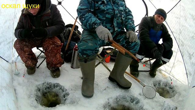 Зимняя рыбалка на судака, конька махалкой