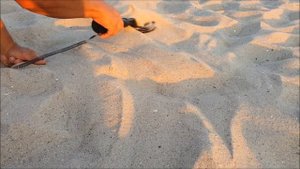 Nokta Makro PulseDive Обзор после трёх лет пользования