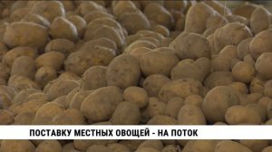 Поставку местных овощей — на поток