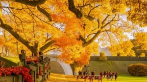 Добрый день - Как день начнешь - так его и проведешь