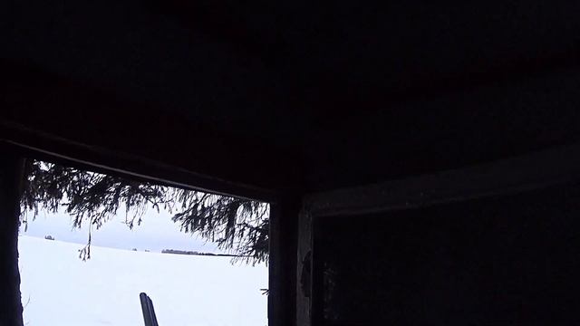 Засидка на лабазе, ждём лису на приваде. Мысли в слух, дальнейшие планы на охоту... смотреть онлайн