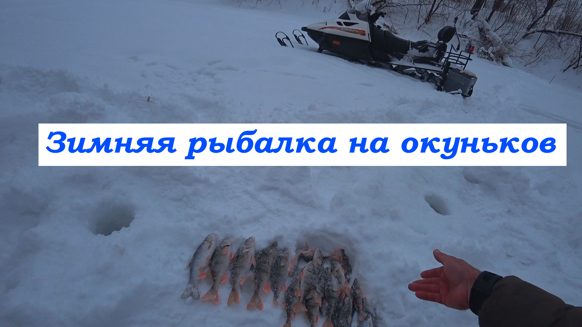 Зимняя рыбалка на снегоходах. Ловим окуня. Кинель-Черкассы. В гостях у Владимира.