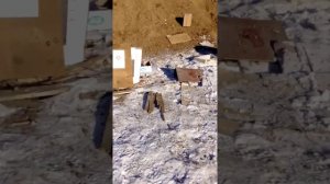 Пристрелка Байкал 145 Лось10 часть 2