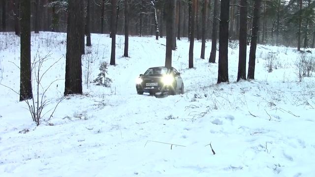 Subaru in the forest смотреть онлайн