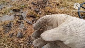 На улице + и я с металлоискателем Т-90.