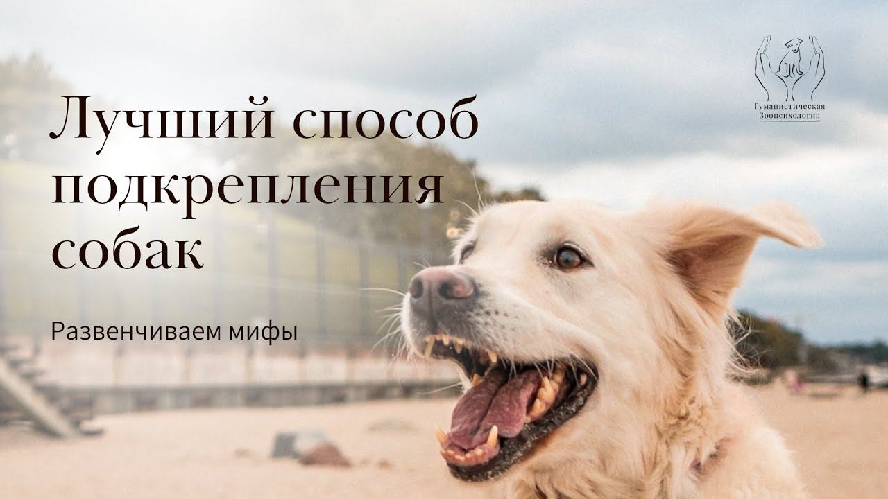 Какое подкрепление самое эффективное