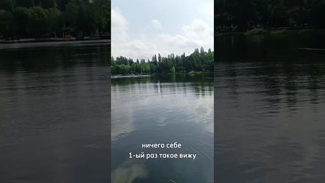 Озеро в Москве смотреть онлайн