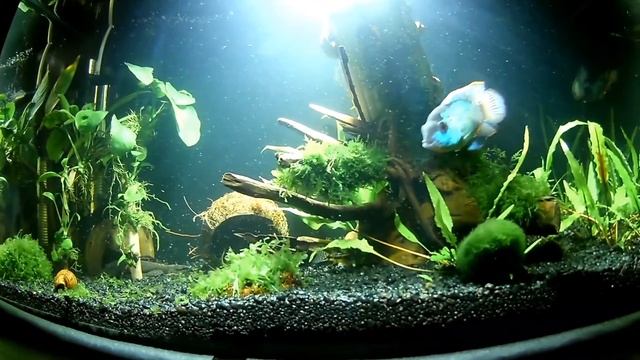 Купила Нанокар смотреть онлайн