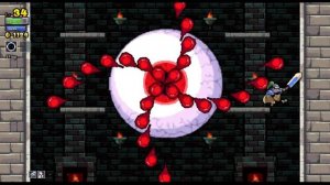 Rogue Legacy Обзор