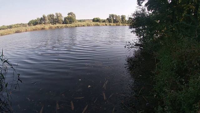 Такого я еще не ловил. Ты кто такой!?