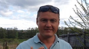 ЛУЧШЕЕ УДОБРЕНИЕ ДЛЯ ЗАВЯЗИ НА КРАСНОЙ СМОРОДИНЕ!!!