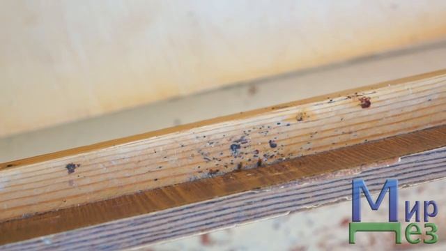 Как обнаружить клопов? Где они прячутся? Какие признаки указывают на их наличие? Советы Мир Дез смотреть онлайн