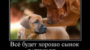 дессар- всё будет хорошо.wmv