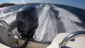 Yamaha 100hp