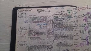 Four Year Crash Test: Cambridge Wide Margin Bible "Eagle"