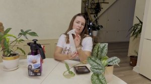 №72. Влажность воздуха в наших квартирах. Как измерить. Способы повышения влажности.