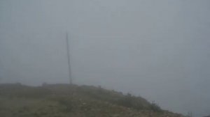 Туман, туман, седая пелена