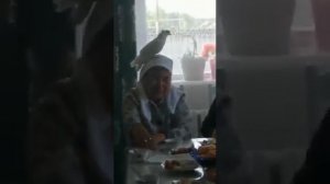В Якутии во время поминок белый голубь сел на голову матери погибшего солдата.