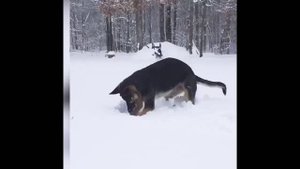 Попробуй не засмеяться, веселая и причудливая погода 2