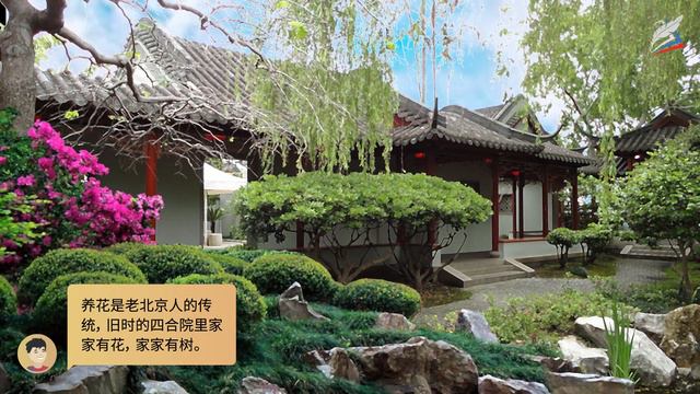 Популярные хобби китайцев. Китайский язык 10 класс. смотреть онлайн