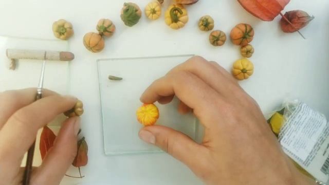 Миниатюрная тыква. Лепим вместе смотреть онлайн