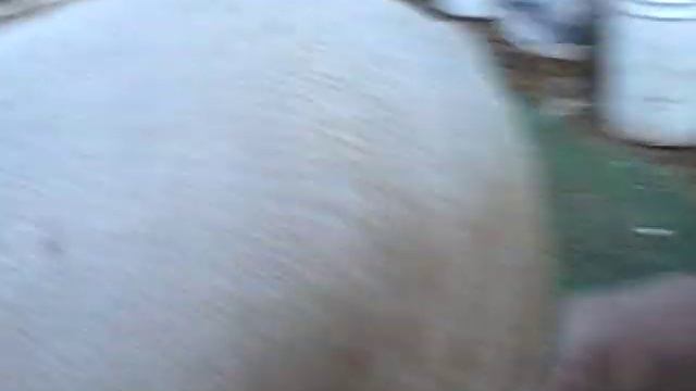 Хозяйство Елены Мороз г Уфа перегон свиньи в сарай смотреть онлайн