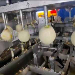 Как очистить яблоко. Как удалить сердцевину яблок #яблоко #очистка #сердцевина