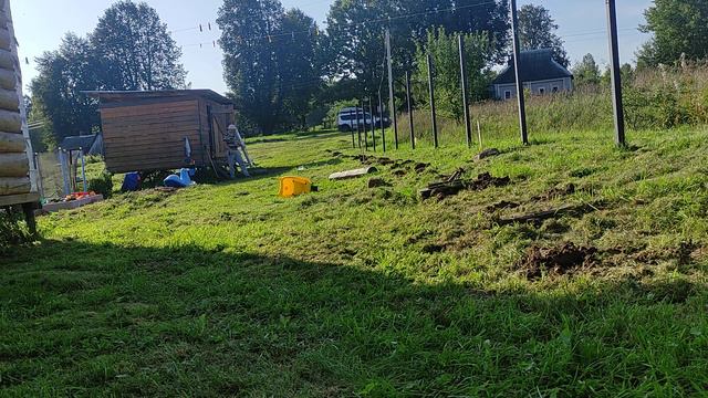 ПОСАДКА ТУИ СМАРАГД/ НА ДЕРЕВЕНСКОМ СКЛОНЕ/ ЧАСТЬ ll