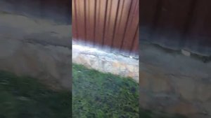 Фумигация кротовых туннелей