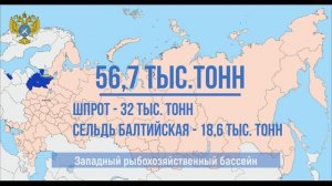 Российские рыбаки сохраняют положительную динамику вылова: добыто более 3,6 млн тонн (+12%)