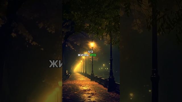 5 мудрых выражений | #shorts #мудрость #цитата #вдохновение #история #мотивация
