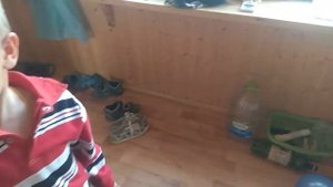 Как мы на ДАЧУ ездили...