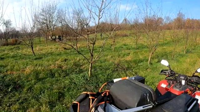 Fiskars UP86 8-12 foot (2.4-4m) Telescopic tree pruner - Review смотреть онлайн