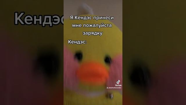 я буду делать то-что я захочу