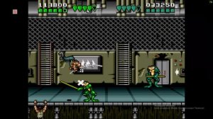 "Battletoad and Double Dragon" SEGA.  Прохождение вдвоём, на разных ПК.
