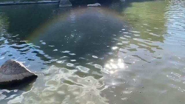 ПОТЕРЯЛА ОСТОРОЖНОСТЬ И ПОПАЛАСЬ ПРЯМО ОКОЛО ДОМА. Поучительные жизненные истории и аудио рассказы.