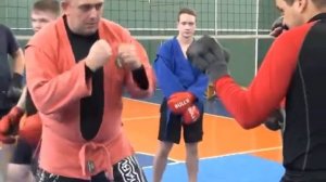 Боевое самбо: использование ударной техники.