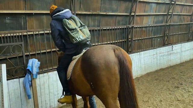 Дикий Запад в Некрасовке, обзор Люберецкого конного двора